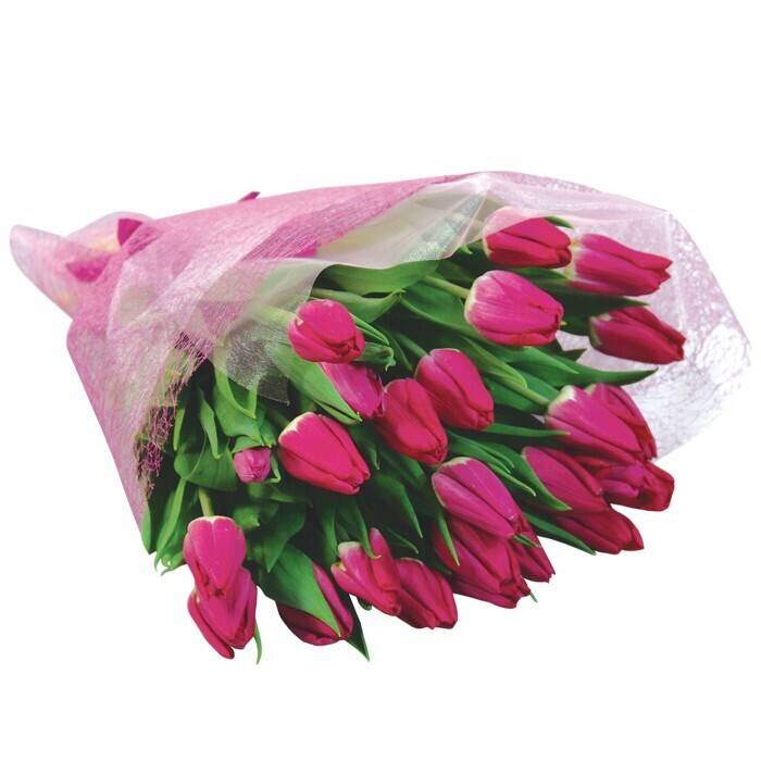 Blume, Blumen-Arrangement, Blumenstrauß, Blütenblatt, Rose, Blume, Blumen-Arrangement, Blumenstrauß, Blütenblatt, Rose, Blume, Blumen-Arrangement, Blumenstrauß, Blütenblatt, Rose, Blume, Blumen-Arrangement, Blumenstrauß, Blütenblatt, Rose