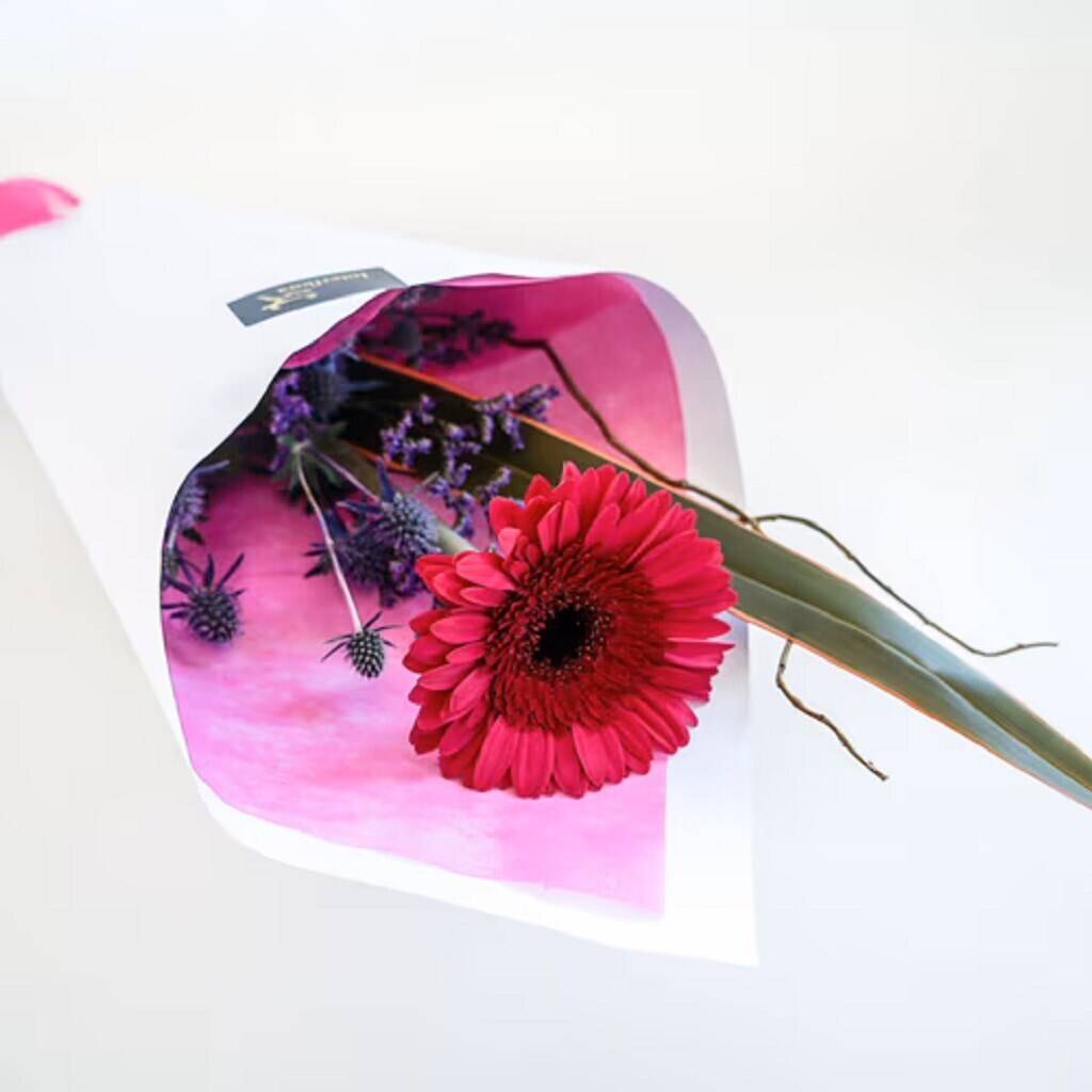 Blume, Blumen-Arrangement, Pflanze, Blumenstrauß, Blütenblatt, Blume, Blumen-Arrangement, Pflanze, Blumenstrauß, Blütenblatt, Blume, Blumen-Arrangement, Pflanze, Blumenstrauß, Blütenblatt, Blume, Blumen-Arrangement, Pflanze, Blumenstrauß, Blütenblatt