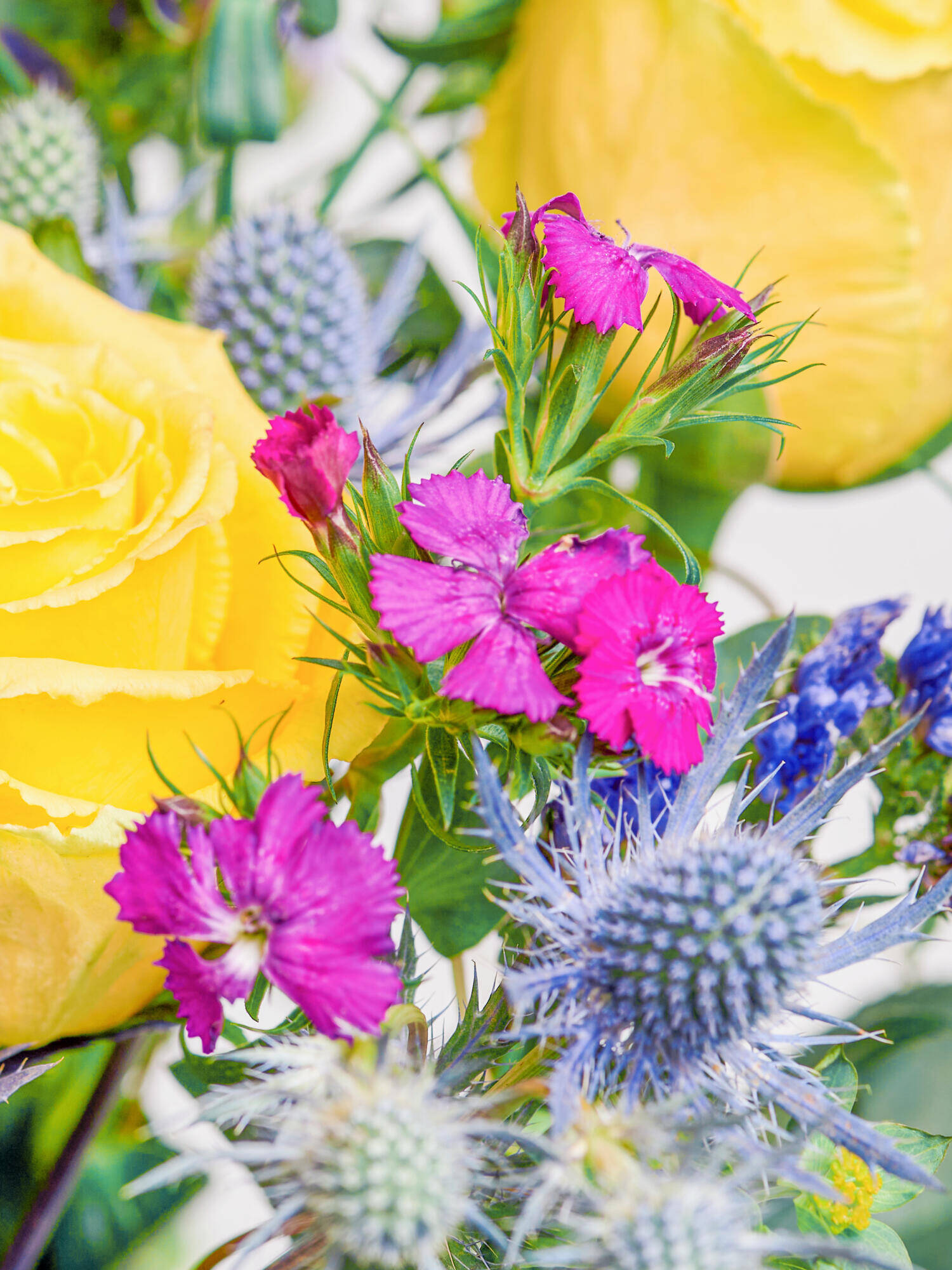 Sparkalicious - Main Flowers: ROSES