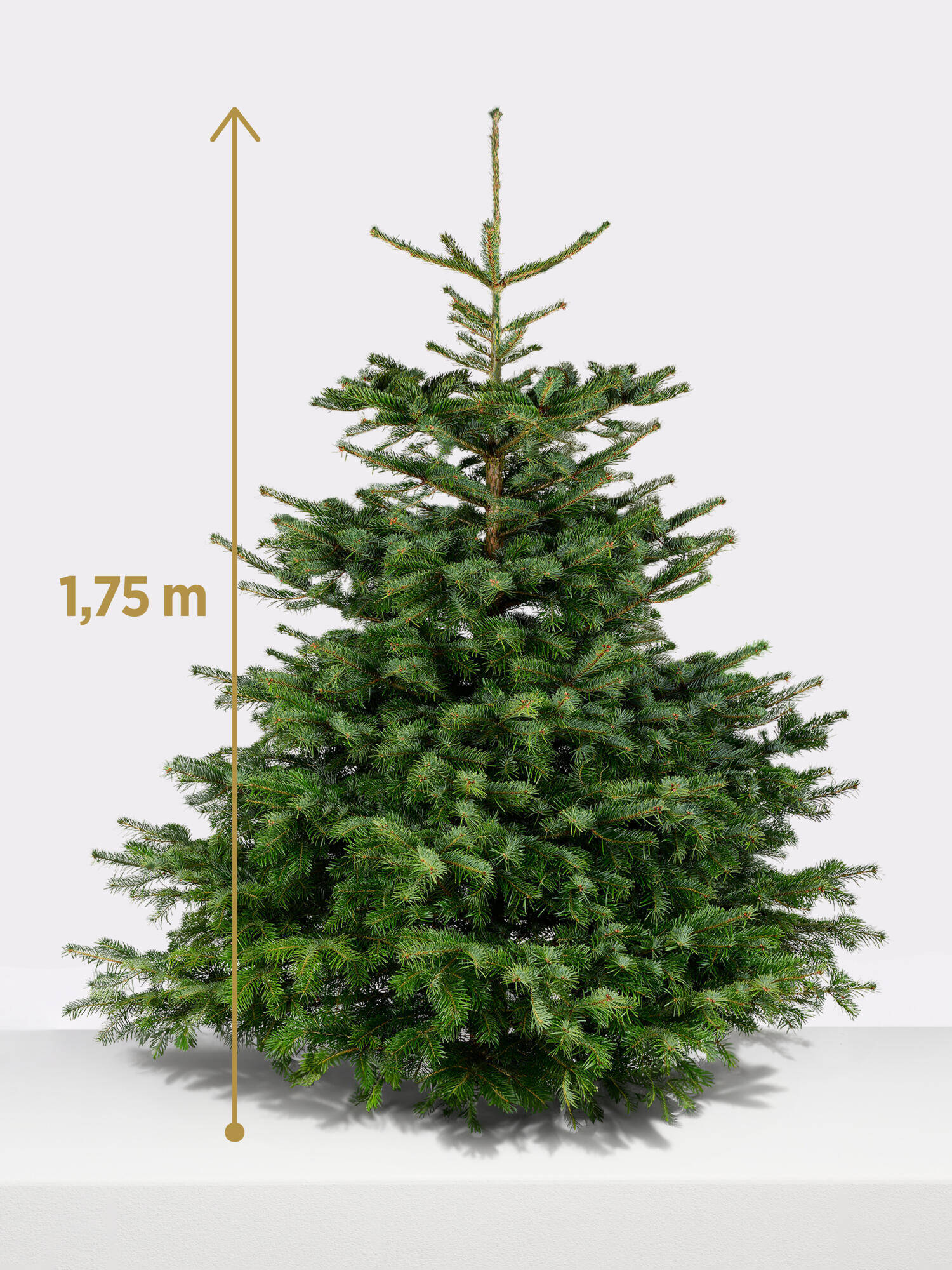 Weihnachtsbaum, 175 cm