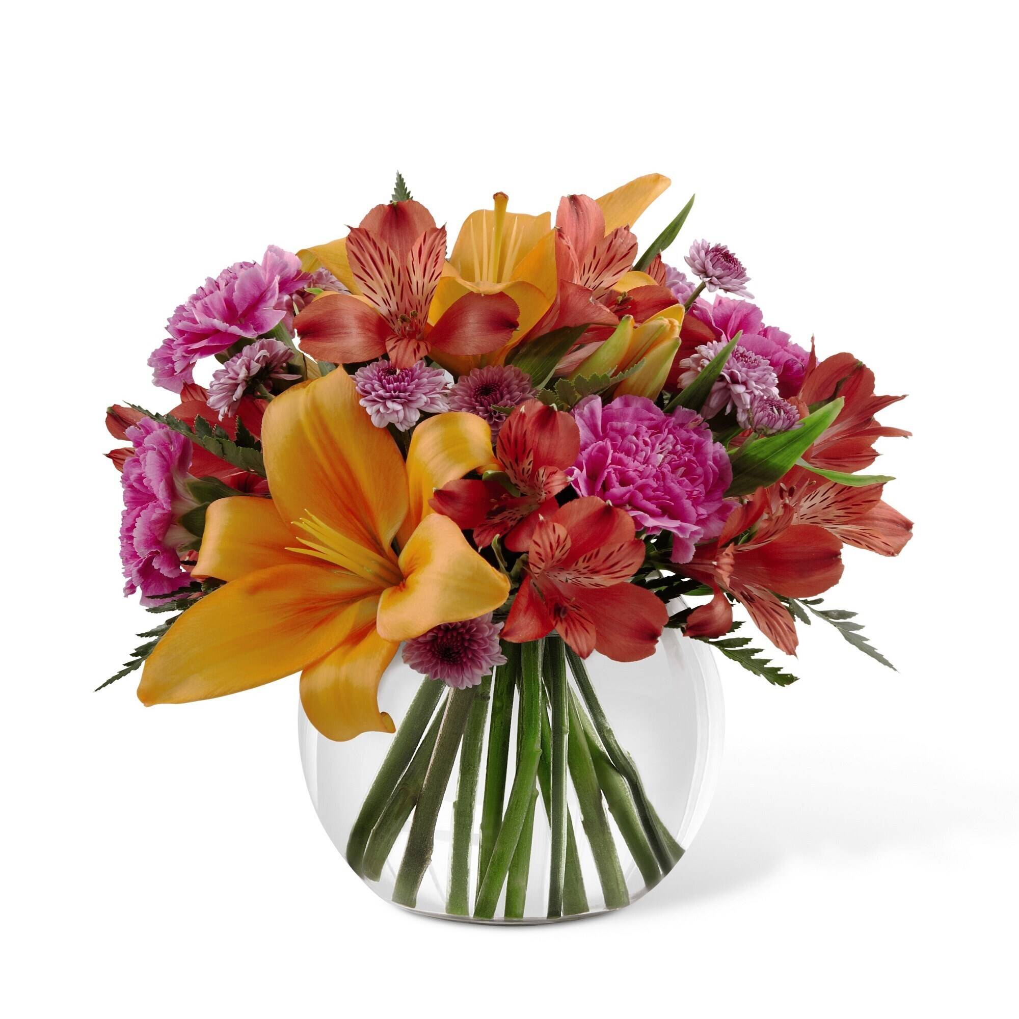 Blume, Blumen-Arrangement, Blumenstrauß, Pflanze, Blume, Blumen-Arrangement, Blumenstrauß, Pflanze, Blume, Blumen-Arrangement, Blumenstrauß, Pflanze, Blume, Blumen-Arrangement, Blumenstrauß, Pflanze, Blume, Blumen-Arrangement, Blumenstrauß, Pflanze