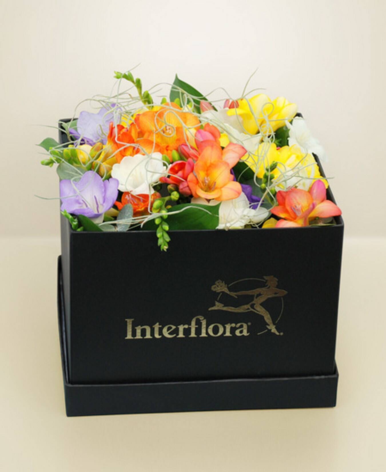 blumenbox, bunte blumen, blumenarrangement, geschenkbox, Interflora, Blumenbox, Blumenarrangement, bunte Blumen, quadratische Box, Geschenkblumen, Blumenbox, Blumenarrangement, Buntblumen, schwarze Box, Interflora Branding
