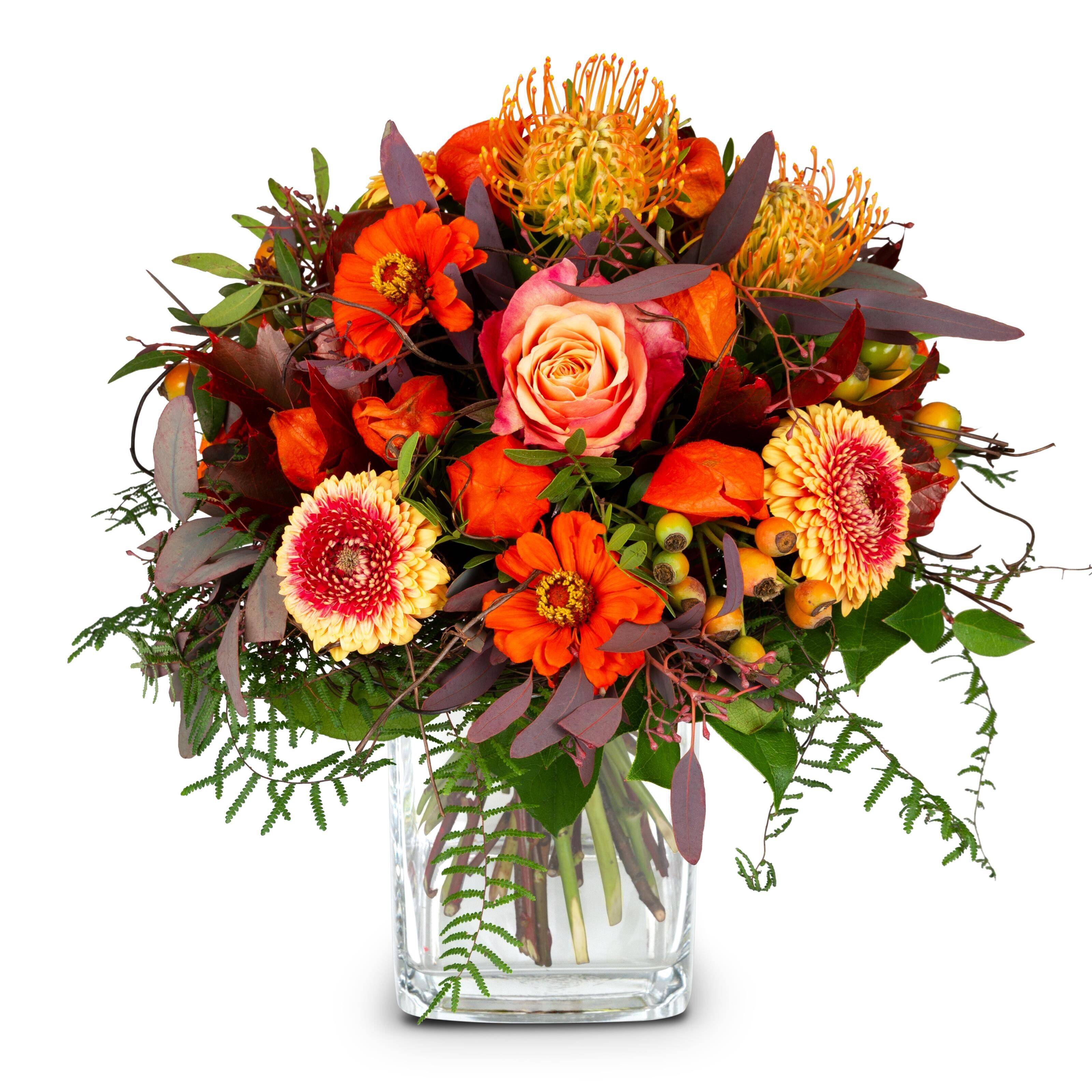 Blume, Blumen-Arrangement, Pflanze, Blumenstrauß, Florales Design, Blume, Blumen-Arrangement, Pflanze, Blumenstrauß, Florales Design, Blume, Blumen-Arrangement, Pflanze, Blumenstrauß, Florales Design