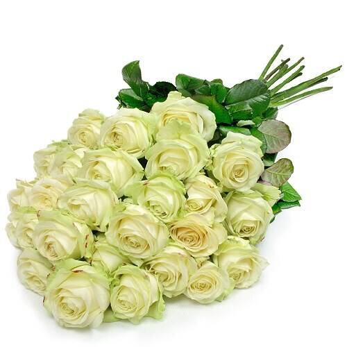 Blume, Blumen-Arrangement, Blumenstrauß, Rose, Florales Design, Blume, Blumen-Arrangement, Blumenstrauß, Rose, Florales Design, Blume, Blumen-Arrangement, Blumenstrauß, Rose, Florales Design,  Rose, weiße Rosen, Blumenstrauß, Blüte, Stiel