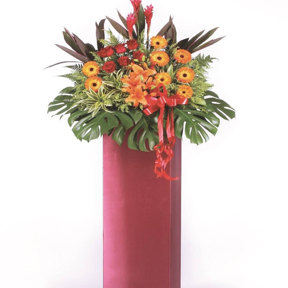 Blume, Blumen-Arrangement, Blumenstrauß, Florales Design, Topfpflanze, Blume, Blumen-Arrangement, Blumenstrauß, Florales Design, Topfpflanze, Blume, Blumen-Arrangement, Blumenstrauß, Florales Design, Topfpflanze