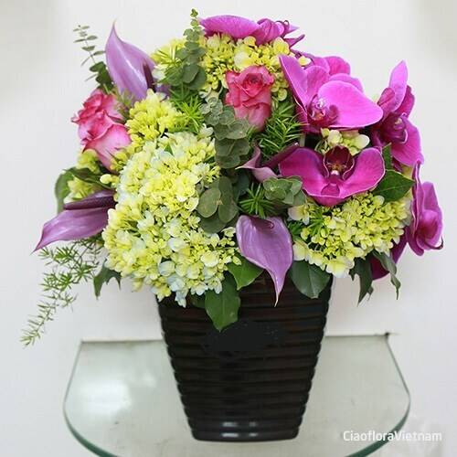 Blume, Blumen-Arrangement, Blumenstrauß, Topfpflanze, Florales Design, Blume, Blumen-Arrangement, Blumenstrauß, Topfpflanze, Florales Design, Blume, Blumen-Arrangement, Blumenstrauß, Topfpflanze, Florales Design