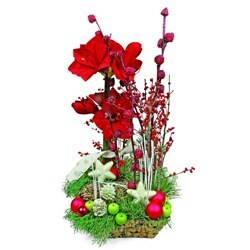 Blume, Blumen-Arrangement, Pflanze, Blumenstrauß, Florales Design, Blume, Blumen-Arrangement, Pflanze, Blumenstrauß, Florales Design, Blume, Blumen-Arrangement, Pflanze, Blumenstrauß, Florales Design