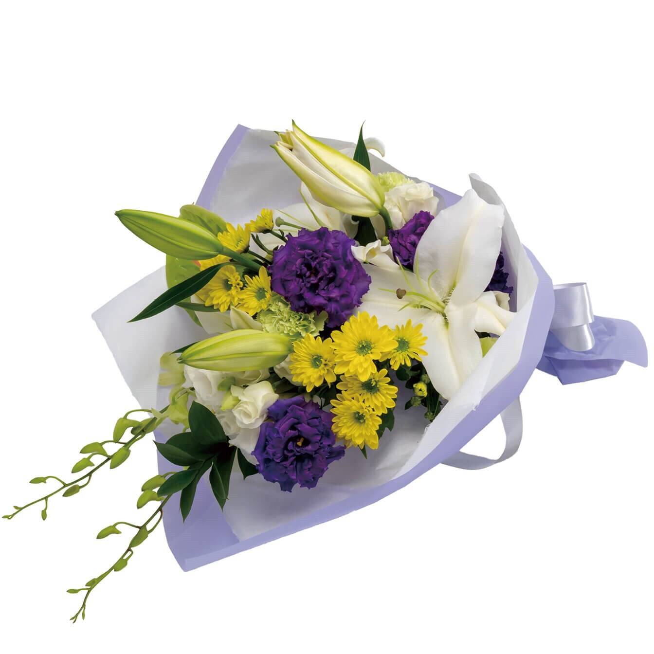Blume, Blumen-Arrangement, Blumenstrauß, Pflanze, Blume, Blumen-Arrangement, Blumenstrauß, Pflanze, Blume, Blumen-Arrangement, Blumenstrauß, Pflanze, Blume, Blumen-Arrangement, Blumenstrauß, Pflanze, Blume, Blumen-Arrangement, Blumenstrauß, Pflanze