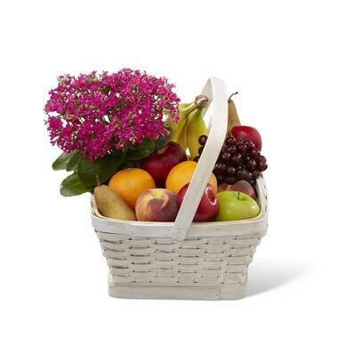 Korb, Essen, Obst, Pflanze, Produzieren, Korb, Essen, Obst, Pflanze, Produzieren, Korb, Essen, Obst, Pflanze, Produzieren, Korb, Essen, Obst, Pflanze, Produzieren, Korb, Essen, Obst, Pflanze, Produzieren, Korb, Essen, Obst, Pflanze, Produzieren, Korb