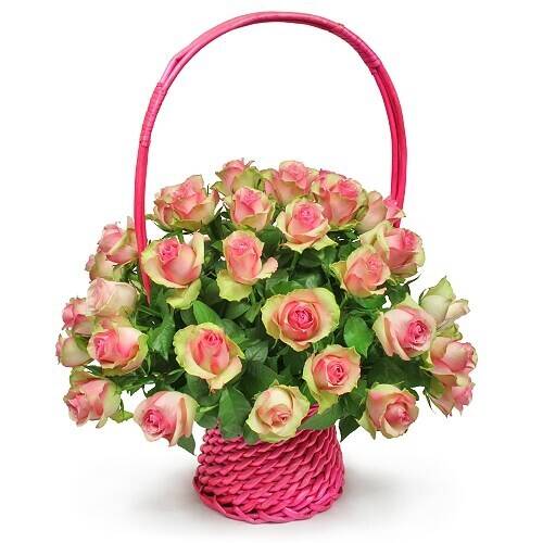 Blume, Blumen-Arrangement, Pflanze, Rose, Blumenstrauß, Blume, Blumen-Arrangement, Pflanze, Rose, Blumenstrauß, Blume, Blumen-Arrangement, Pflanze, Rose, Blumenstrauß, Blume, Blumen-Arrangement, Pflanze, Rose, Blumenstrauß