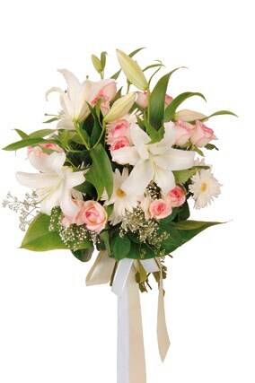 Blume, Blumen-Arrangement, Blumenstrauß, Pflanze, Blume, Blumen-Arrangement, Blumenstrauß, Pflanze, Blume, Blumen-Arrangement, Blumenstrauß, Pflanze, Blume, Blumen-Arrangement, Blumenstrauß, Pflanze, Blume, Blumen-Arrangement, Blumenstrauß, Pflanze