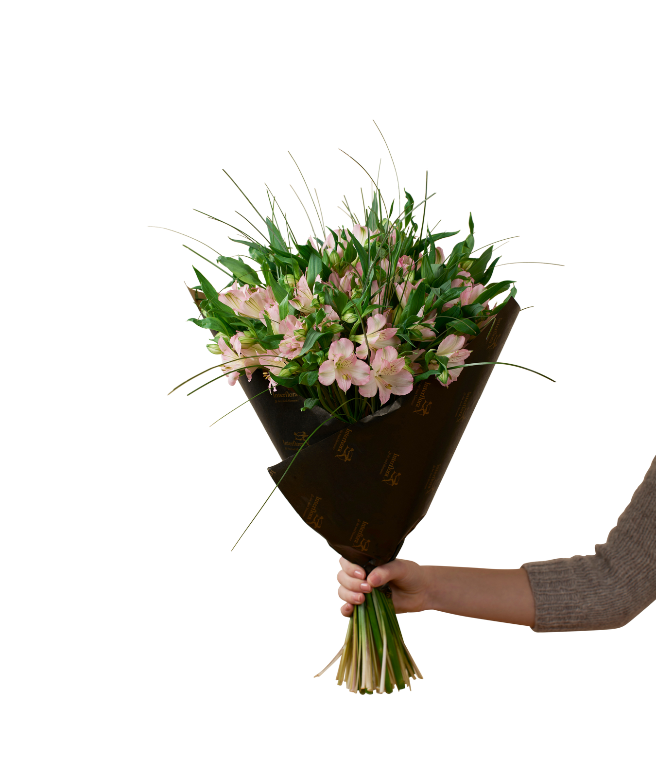 Blume, Blumen-Arrangement, Blumenstrauß, Pflanze, Blume, Blumen-Arrangement, Blumenstrauß, Pflanze, Blume, Blumen-Arrangement, Blumenstrauß, Pflanze, Blume, Blumen-Arrangement, Blumenstrauß, Pflanze, Blume, Blumen-Arrangement, Blumenstrauß, Pflanze