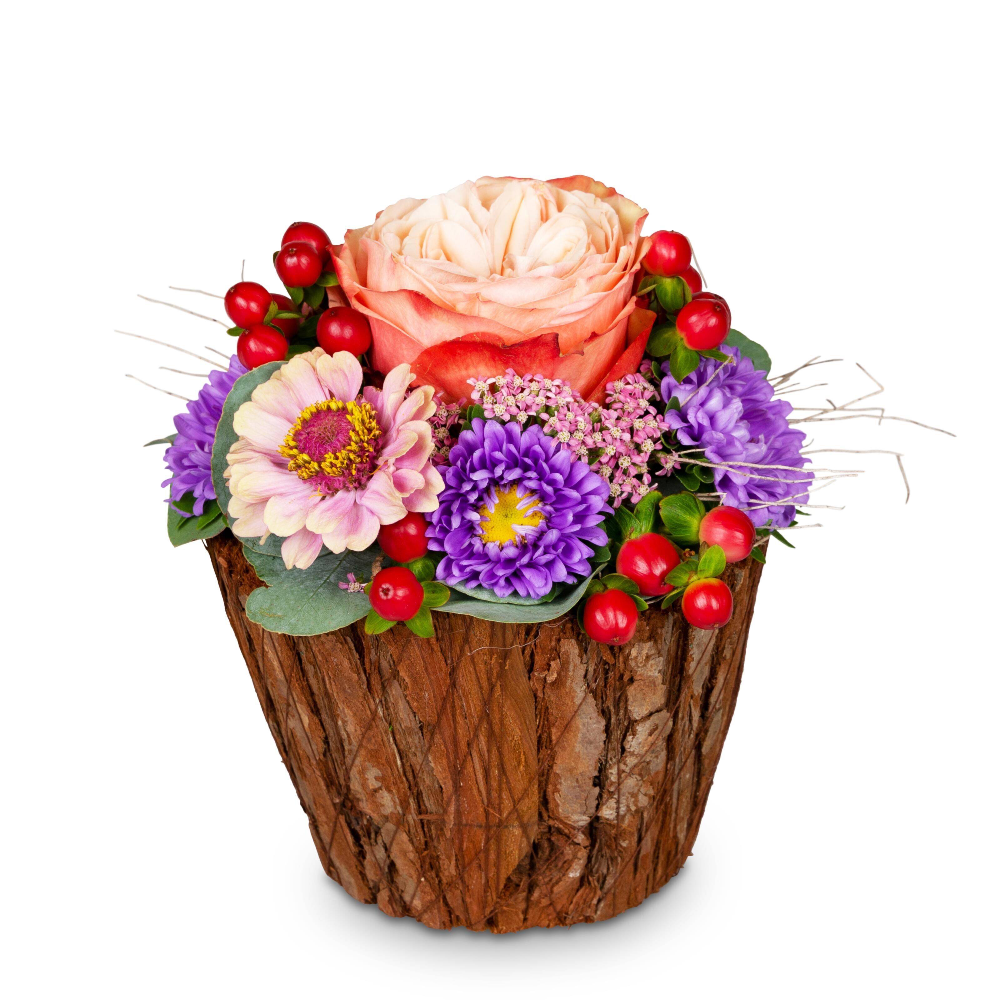 Blume, Blumen-Arrangement, Pflanze, Blumenstrauß, Rose, Blume, Blumen-Arrangement, Pflanze, Blumenstrauß, Rose, Blume, Blumen-Arrangement, Pflanze, Blumenstrauß, Rose, Blume, Blumen-Arrangement, Pflanze, Blumenstrauß, Rose