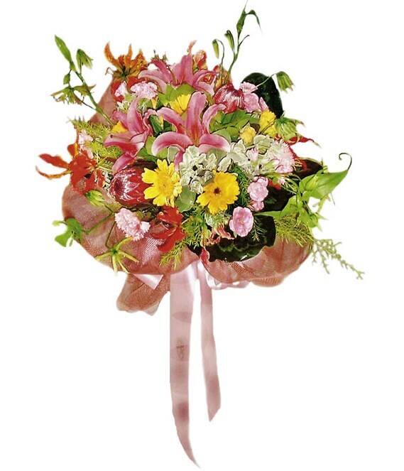 Blume, Blumen-Arrangement, Blumenstrauß, Pflanze, Florales Design, Blume, Blumen-Arrangement, Blumenstrauß, Pflanze, Florales Design, Blume, Blumen-Arrangement, Blumenstrauß, Pflanze, Florales Design