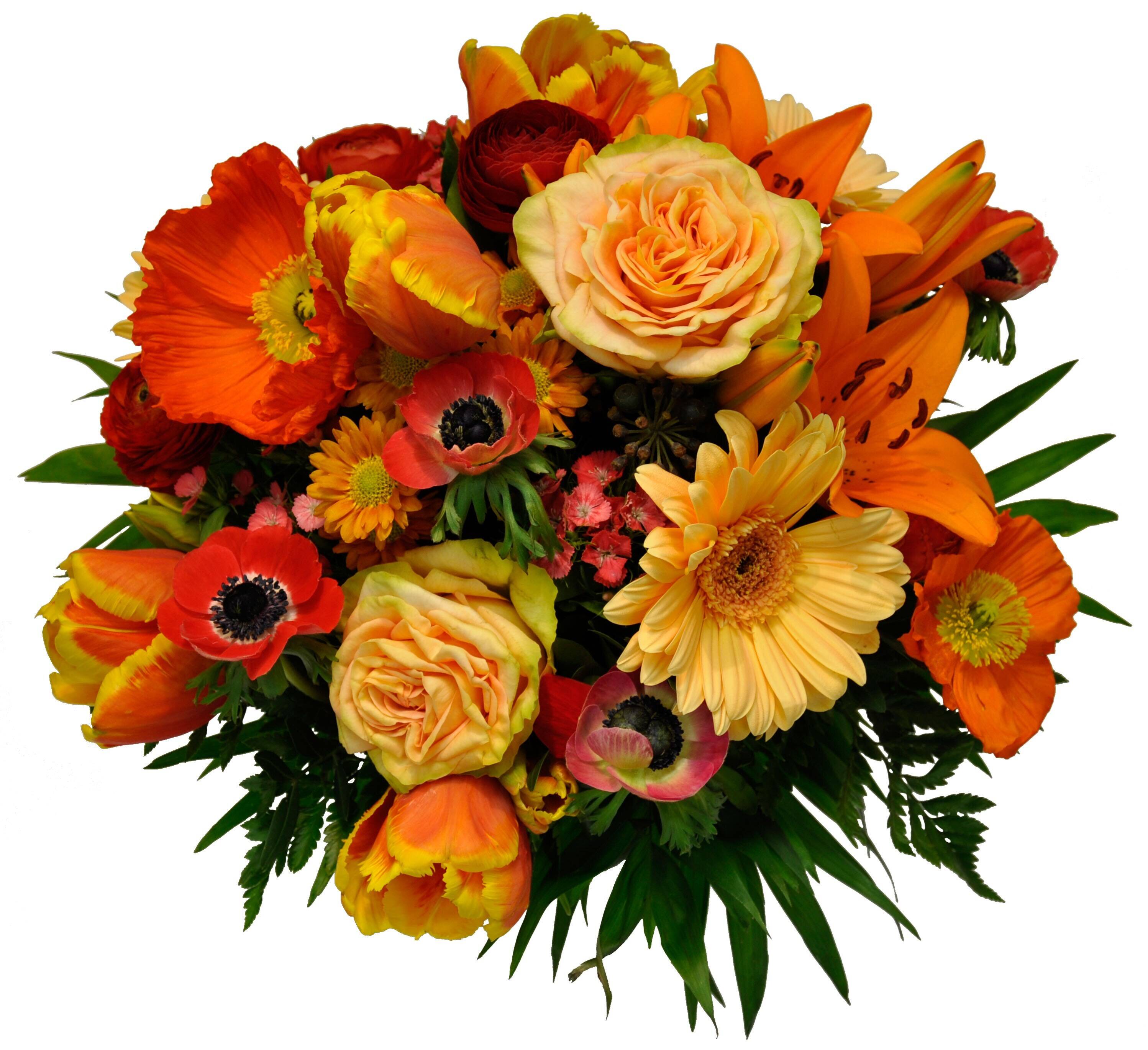 Blume, Blumen-Arrangement, Blumenstrauß, Pflanze, Rose, Blume, Blumen-Arrangement, Blumenstrauß, Pflanze, Rose, Blume, Blumen-Arrangement, Blumenstrauß, Pflanze, Rose, Blume, Blumen-Arrangement, Blumenstrauß, Pflanze, Rose