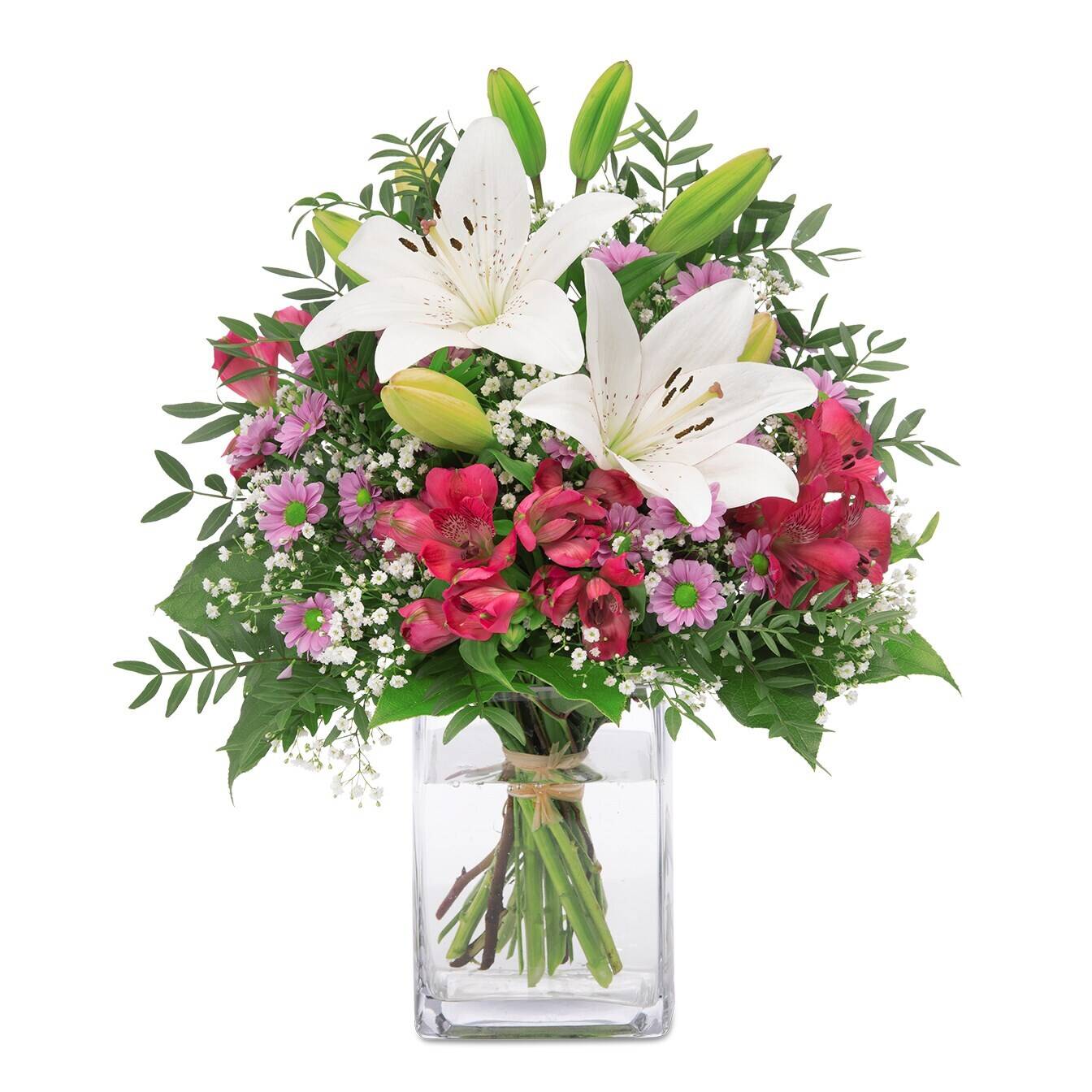 Blume, Blumen-Arrangement, Pflanze, Blumenstrauß, Blume, Blumen-Arrangement, Pflanze, Blumenstrauß, Blume, Blumen-Arrangement, Pflanze, Blumenstrauß, Blume, Blumen-Arrangement, Pflanze, Blumenstrauß, Blume, Blumen-Arrangement, Pflanze, Blumenstrauß