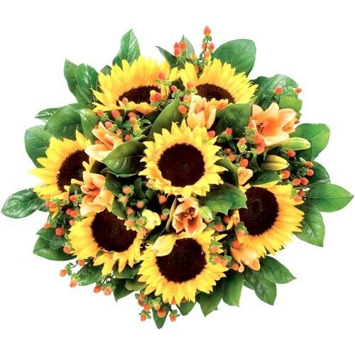 Blume, Blumen-Arrangement, Blumenstrauß, Sonnenblume, Blatt, Blume, Blumen-Arrangement, Blumenstrauß, Sonnenblume, Blatt, Blume, Blumen-Arrangement, Blumenstrauß, Sonnenblume, Blatt, Blume, Blumen-Arrangement, Blumenstrauß, Sonnenblume, Blatt