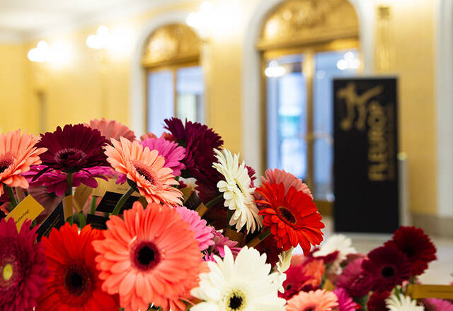 Fleurop Blumenstrauß im Staatstheater Nürnberg