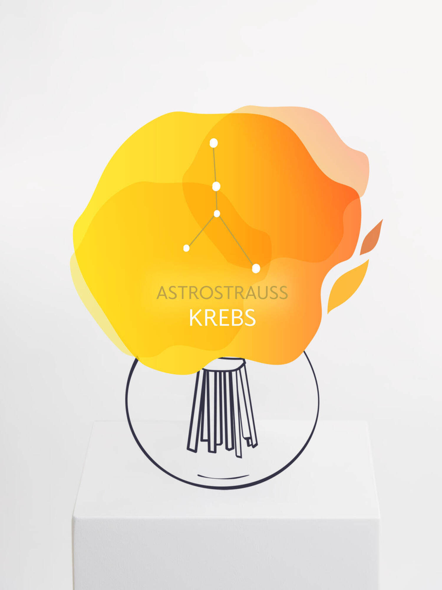 Astrostrauß Krebs