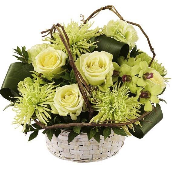 Blumen, Bouquet, Efeu?, Korb, Grün, Blumenkorb, Cremige Rosen, Grüne Chrysanthemen, geflochtener Korb, Blumengesteck, blume, blumenstrauß, korb, creme, grün
