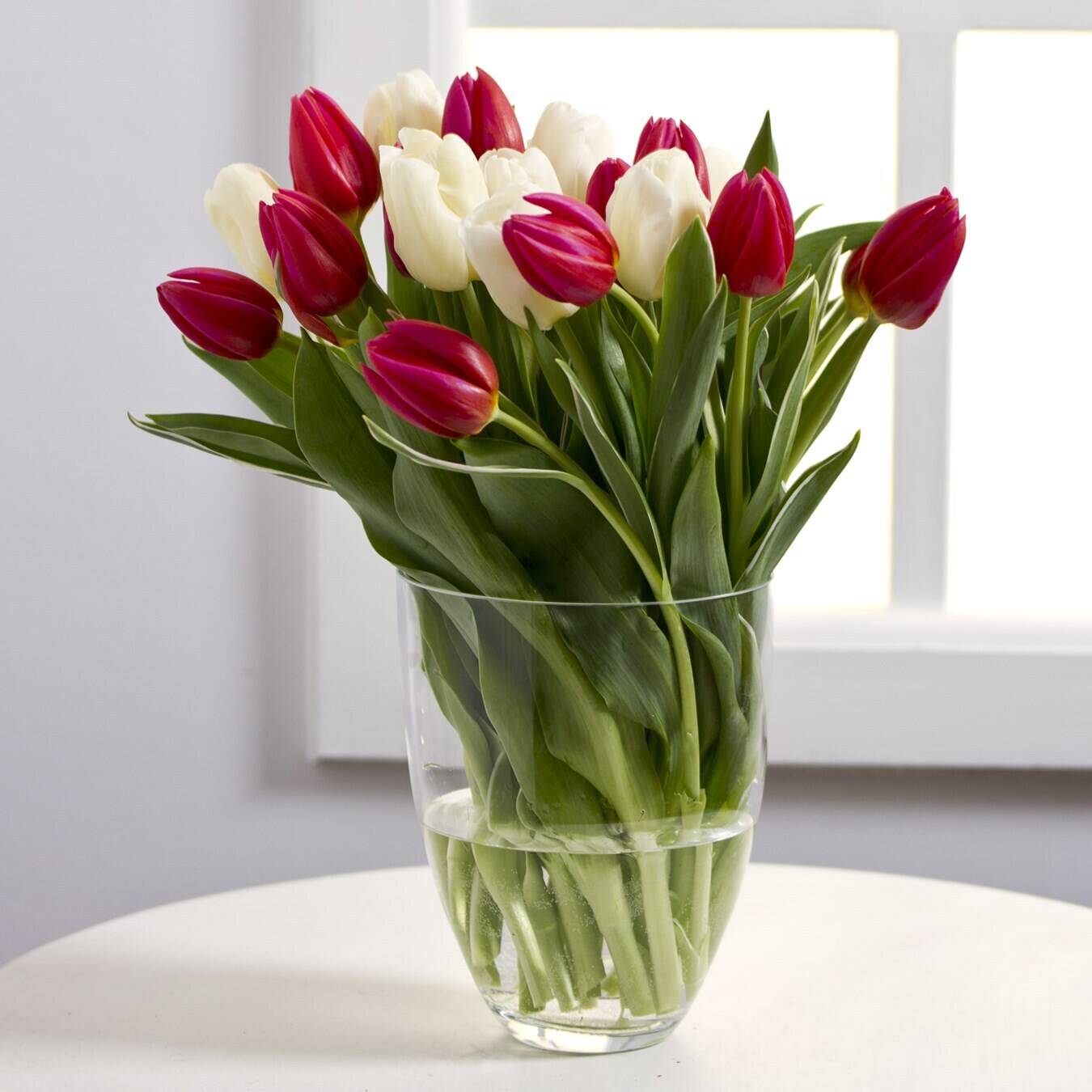 Blume, Blumen-Arrangement, Pflanze, Blumenstrauß, Glas, Blume, Blumen-Arrangement, Pflanze, Blumenstrauß, Glas, Blume, Blumen-Arrangement, Pflanze, Blumenstrauß, Glas, Blume, Blumen-Arrangement, Pflanze, Blumenstrauß, Glas