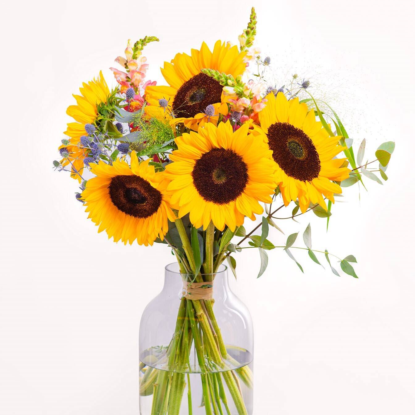 Blume, Blumen-Arrangement, Pflanze, Blumenstrauß, Sonnenblume, Blume, Blumen-Arrangement, Pflanze, Blumenstrauß, Sonnenblume, Blume, Blumen-Arrangement, Pflanze, Blumenstrauß, Sonnenblume, Blume, Blumen-Arrangement, Pflanze, Blumenstrauß, Sonnenblume