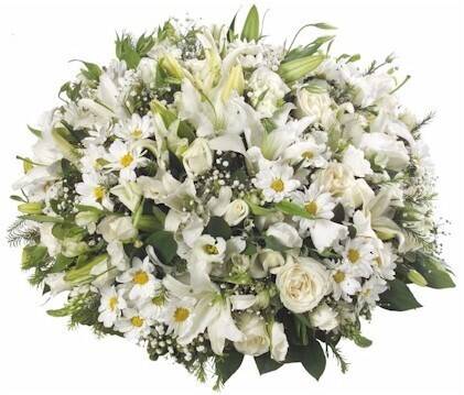Blume, Blumen-Arrangement, Blumenstrauß, Pflanze, Blume, Blumen-Arrangement, Blumenstrauß, Pflanze, Blume, Blumen-Arrangement, Blumenstrauß, Pflanze, Blume, Blumen-Arrangement, Blumenstrauß, Pflanze, Blume, Blumen-Arrangement, Blumenstrauß, Pflanze
