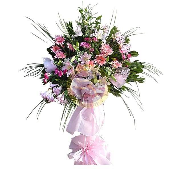 Blume, Blumen-Arrangement, Blumenstrauß, Pflanze, Blume, Blumen-Arrangement, Blumenstrauß, Pflanze, Blume, Blumen-Arrangement, Blumenstrauß, Pflanze, Blume, Blumen-Arrangement, Blumenstrauß, Pflanze, Blume, Blumen-Arrangement, Blumenstrauß, Pflanze