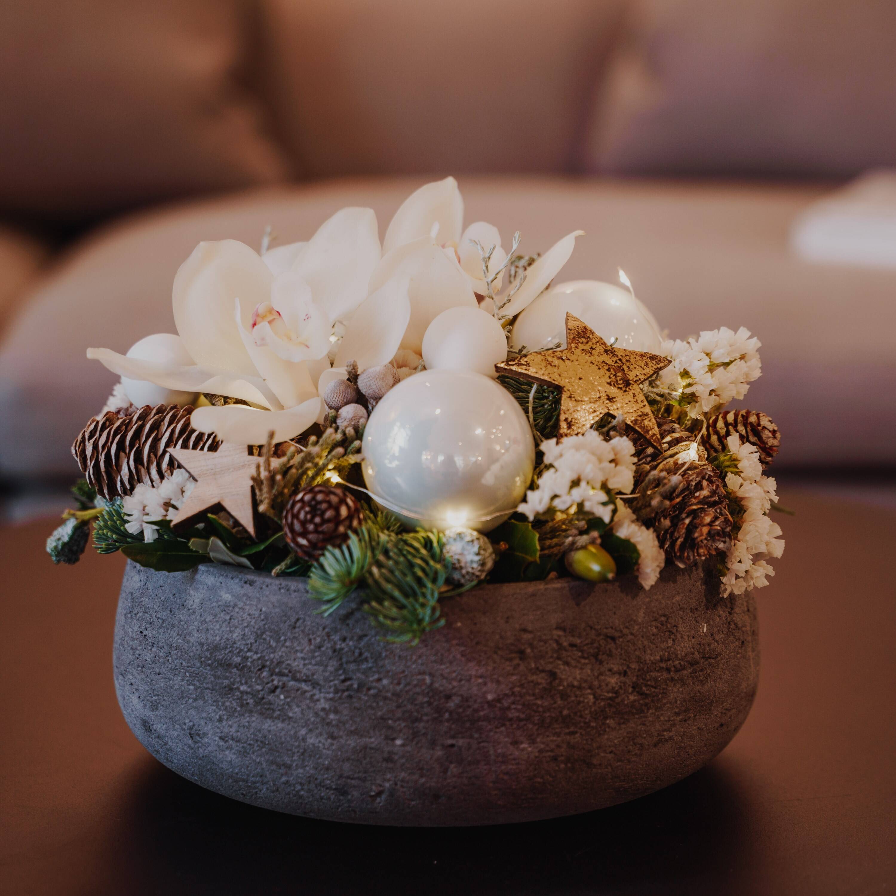 Blume, Blumen-Arrangement, Pflanze, Blumenstrauß, Blume, Blumen-Arrangement, Pflanze, Blumenstrauß, Blume, Blumen-Arrangement, Pflanze, Blumenstrauß, Blume, Blumen-Arrangement, Pflanze, Blumenstrauß, Blume, Blumen-Arrangement, Pflanze, Blumenstrauß