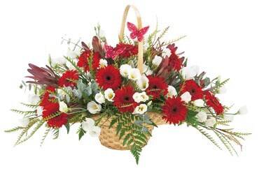 Blume, Blumen-Arrangement, Pflanze, Blumenstrauß, Blume, Blumen-Arrangement, Pflanze, Blumenstrauß, Blume, Blumen-Arrangement, Pflanze, Blumenstrauß, Blume, Blumen-Arrangement, Pflanze, Blumenstrauß, Blume, Blumen-Arrangement, Pflanze, Blumenstrauß