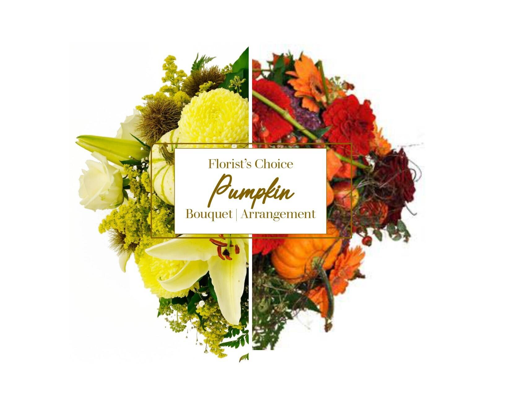Blume, Blumen-Arrangement, Blumenstrauß, Florales Design, Grafiken, Blume, Blumen-Arrangement, Blumenstrauß, Florales Design, Grafiken, Blume, Blumen-Arrangement, Blumenstrauß, Florales Design, Grafiken