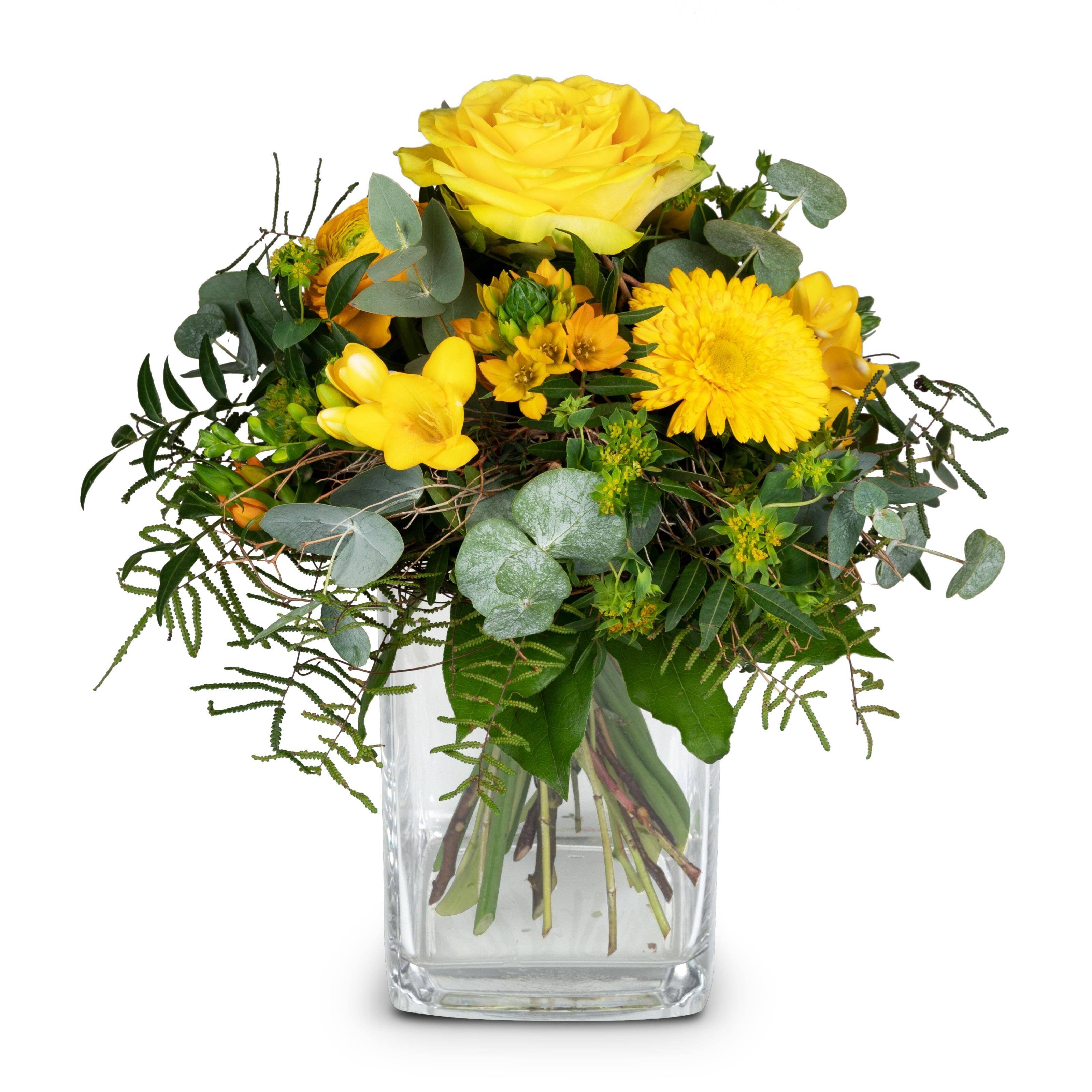 Blume, Blumen-Arrangement, Pflanze, Blumenstrauß, Rose, Blume, Blumen-Arrangement, Pflanze, Blumenstrauß, Rose, Blume, Blumen-Arrangement, Pflanze, Blumenstrauß, Rose, Blume, Blumen-Arrangement, Pflanze, Blumenstrauß, Rose