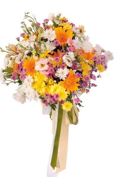 Blume, Blumen-Arrangement, Blumenstrauß, Pflanze, Florales Design, Blume, Blumen-Arrangement, Blumenstrauß, Pflanze, Florales Design, Blume, Blumen-Arrangement, Blumenstrauß, Pflanze, Florales Design, Blumenstrauß, Blumen, Florales, bunt, Band