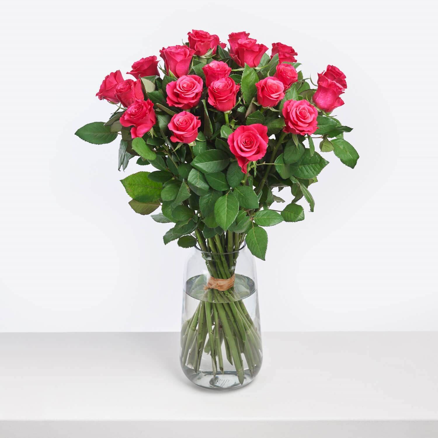 Blume, Rose, Blumen-Arrangement, Glas, Blumenstrauß, Blume, Rose, Blumen-Arrangement, Glas, Blumenstrauß, Blume, Rose, Blumen-Arrangement, Glas, Blumenstrauß, Blume, Rose, Blumen-Arrangement, Glas, Blumenstrauß