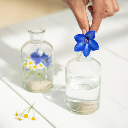 Eine Hand füllt eine Ritterspornblüte in ein Ginglas, welches zuvor mit etwas Wasser befüllt wurde.