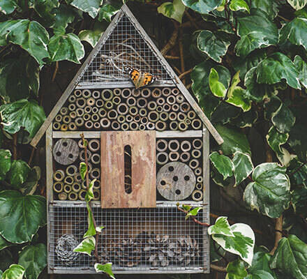 Insektenhotel in grüner Umgebung