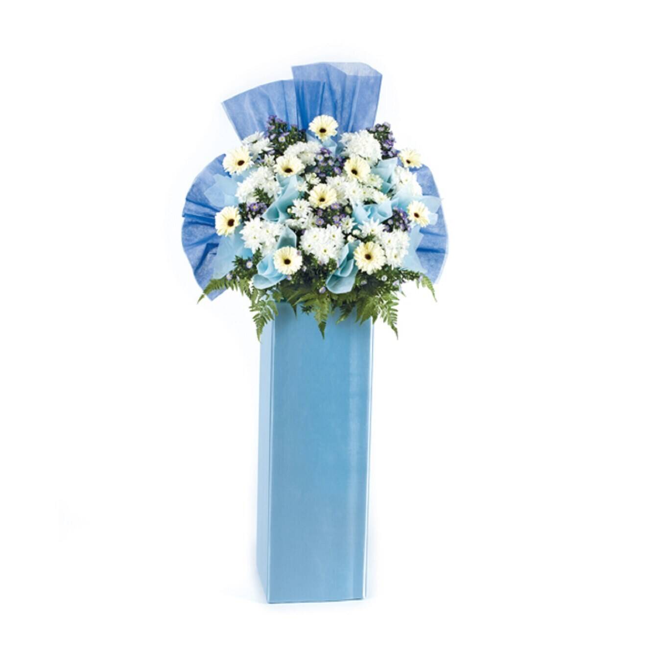 Blume, Blumen-Arrangement, Blumenstrauß, Pflanze, Gänseblümchen, Blume, Blumen-Arrangement, Blumenstrauß, Pflanze, Gänseblümchen, Blume, Blumen-Arrangement, Blumenstrauß, Pflanze, Gänseblümchen