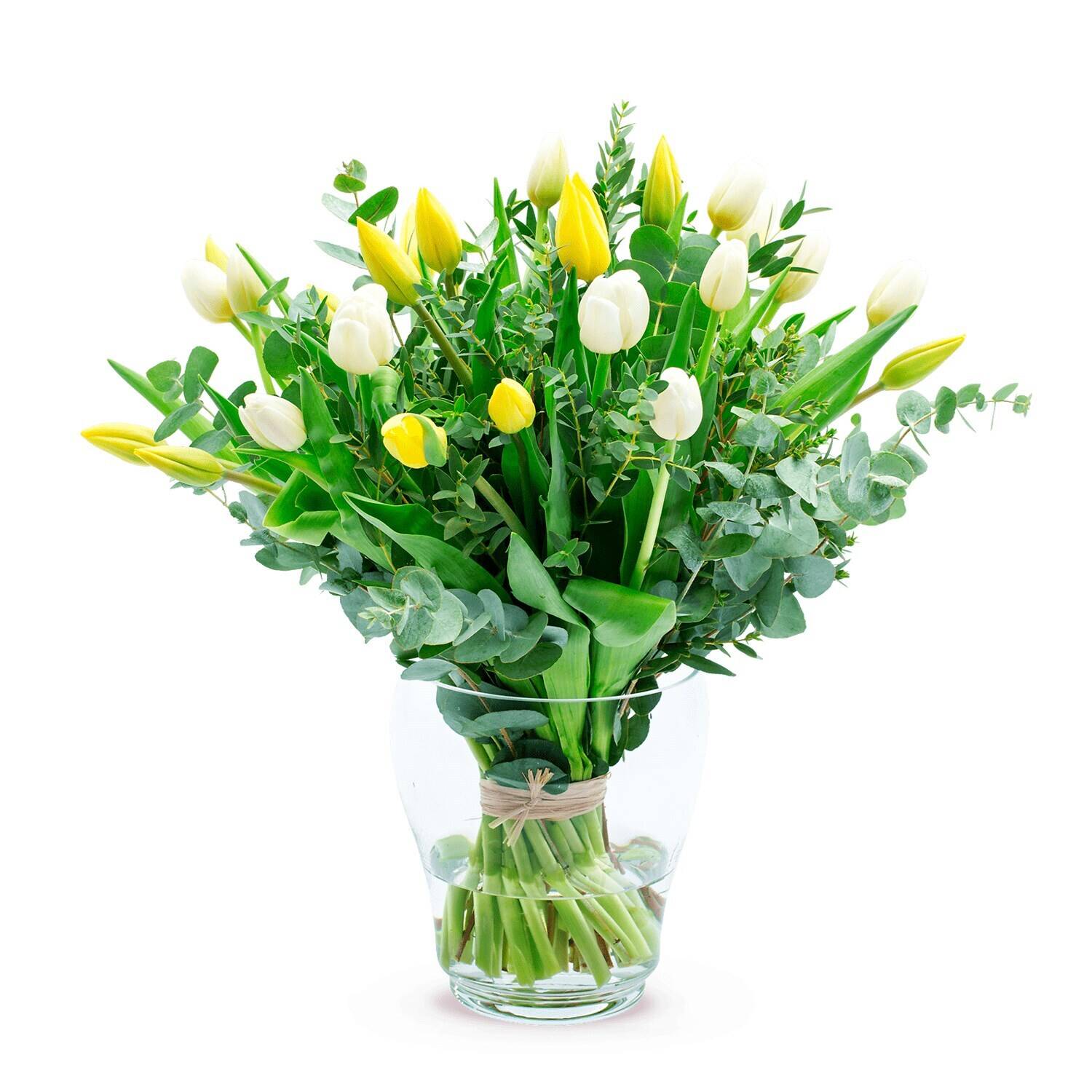 Blume, Blumen-Arrangement, Pflanze, Blumenstrauß, Glas, Blume, Blumen-Arrangement, Pflanze, Blumenstrauß, Glas, Blume, Blumen-Arrangement, Pflanze, Blumenstrauß, Glas, Blume, Blumen-Arrangement, Pflanze, Blumenstrauß, Glas