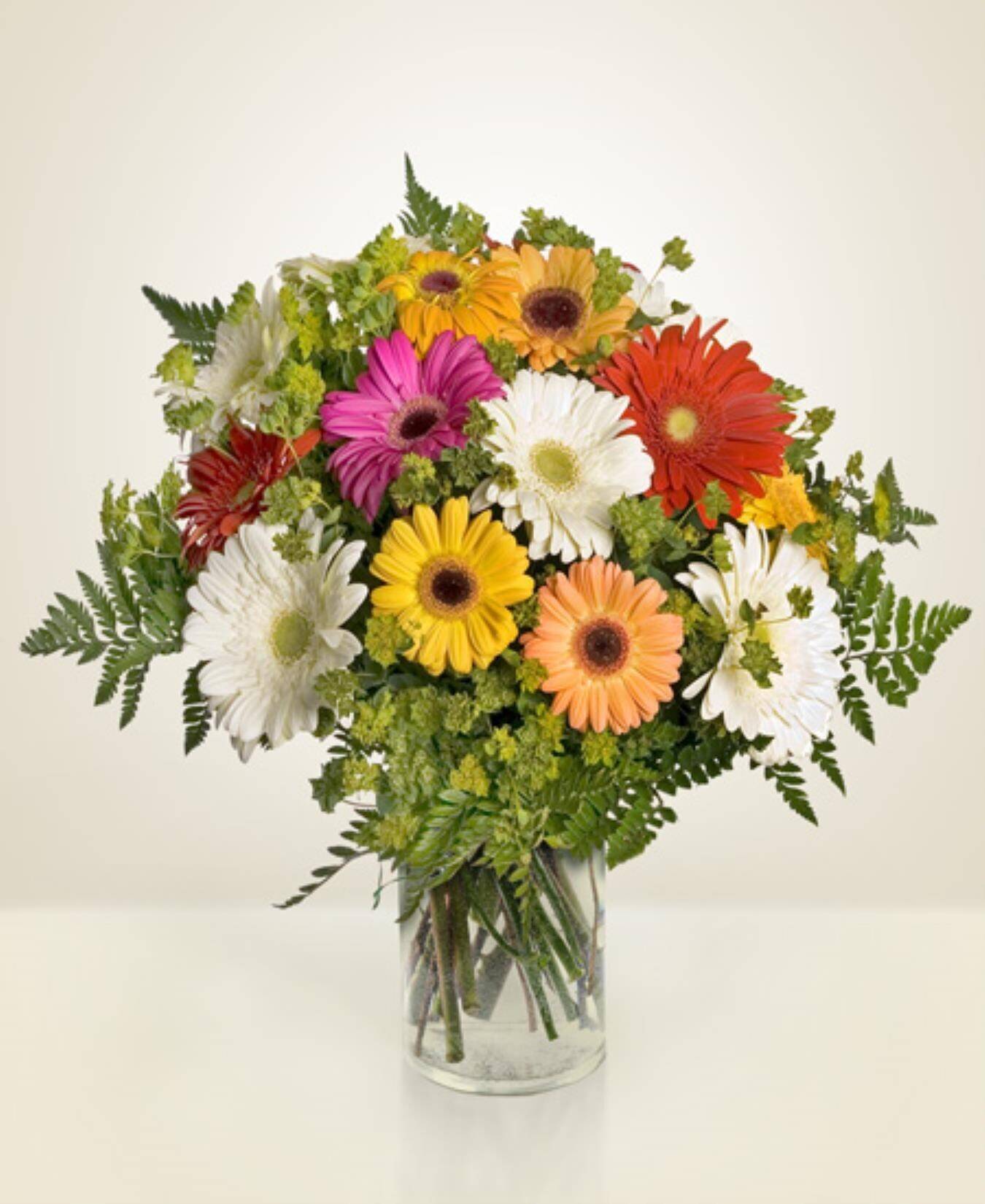 Blume, Blumen-Arrangement, Pflanze, Blumenstrauß, Florales Design, Blume, Blumen-Arrangement, Pflanze, Blumenstrauß, Florales Design, Blume, Blumen-Arrangement, Pflanze, Blumenstrauß, Florales Design, Blumenstrauß, Blumen, Gerbera, Vase, farbenfroh