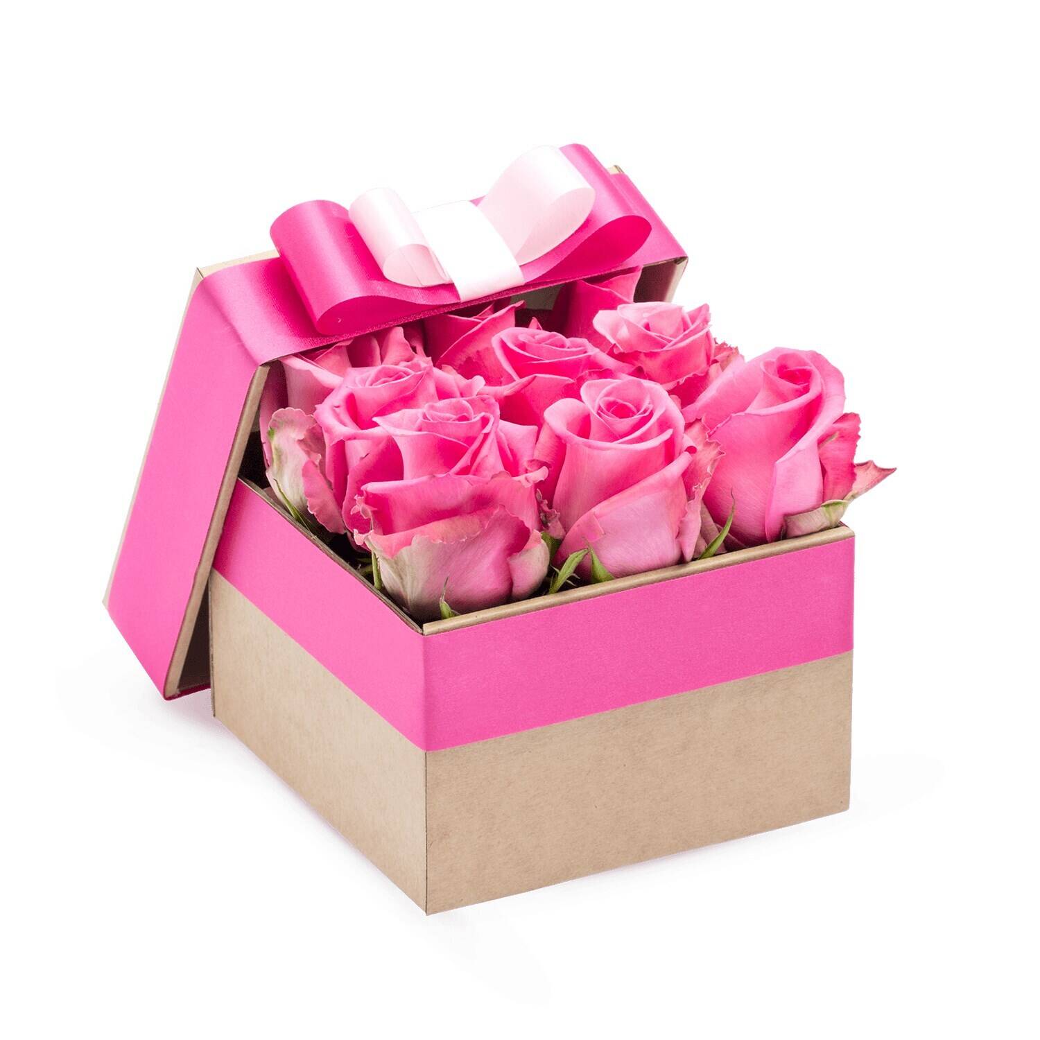 Blume, Pflanze, Rose, Blumenstrauß, Kiste, Blume, Pflanze, Rose, Blumenstrauß, Kiste, Blume, Pflanze, Rose, Blumenstrauß, Kiste, Blume, Pflanze, Rose, Blumenstrauß, Kiste, Blume, Pflanze, Rose, Blumenstrauß, Kiste