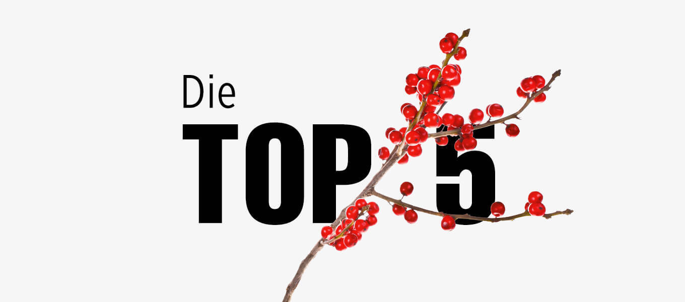 Bild mit dem Schriftzug: Die Top 5