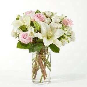 Blume, Blumen-Arrangement, Blumenstrauß, Pflanze, Blume, Blumen-Arrangement, Blumenstrauß, Pflanze, Blume, Blumen-Arrangement, Blumenstrauß, Pflanze, Blume, Blumen-Arrangement, Blumenstrauß, Pflanze, Blume, Blumen-Arrangement, Blumenstrauß, Pflanze