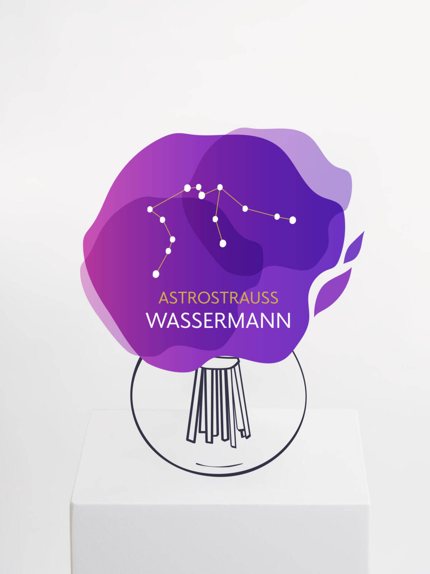 Astrostrauß Wassermann