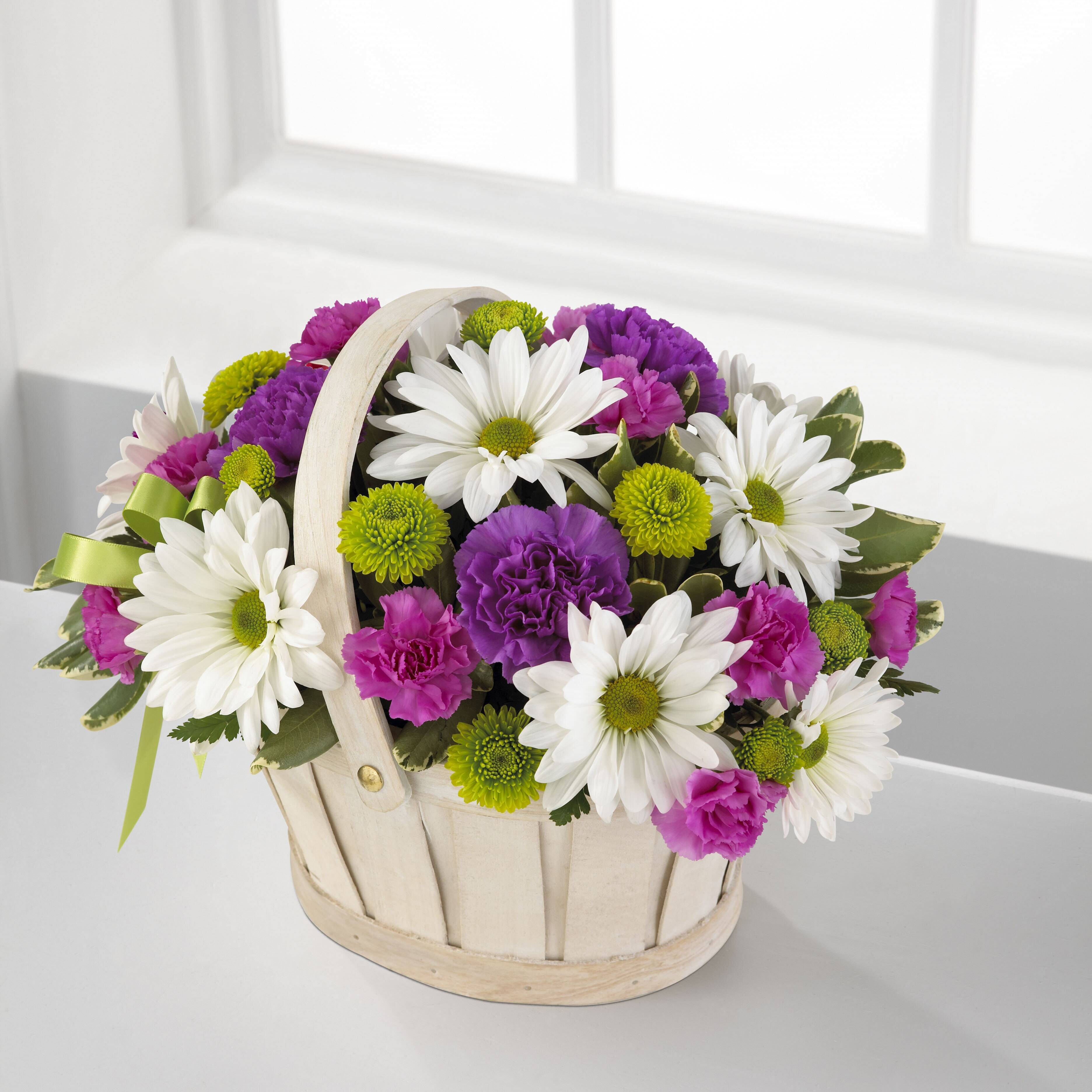 Blume, Blumen-Arrangement, Pflanze, Blumenstrauß, Gänseblümchen, Blume, Blumen-Arrangement, Pflanze, Blumenstrauß, Gänseblümchen, Blume, Blumen-Arrangement, Pflanze, Blumenstrauß, Gänseblümchen, blumen, blumenstrauss, gänseblümchen, nelken, korb