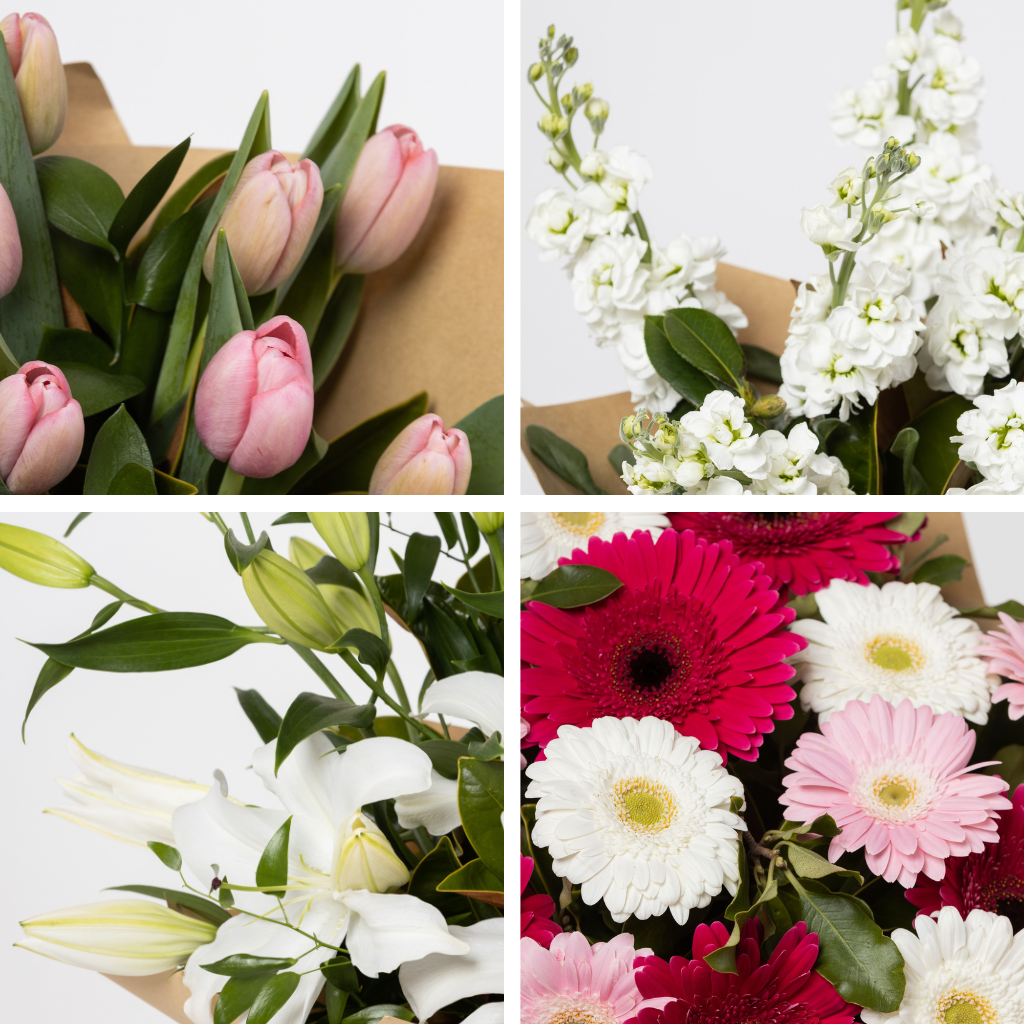 Blume, Blumen-Arrangement, Blütenblatt, Blumenstrauß, Gänseblümchen, Blume, Blumen-Arrangement, Blütenblatt, Blumenstrauß, Gänseblümchen, Blume, Blumen-Arrangement, Blütenblatt, Blumenstrauß, Gänseblümchen