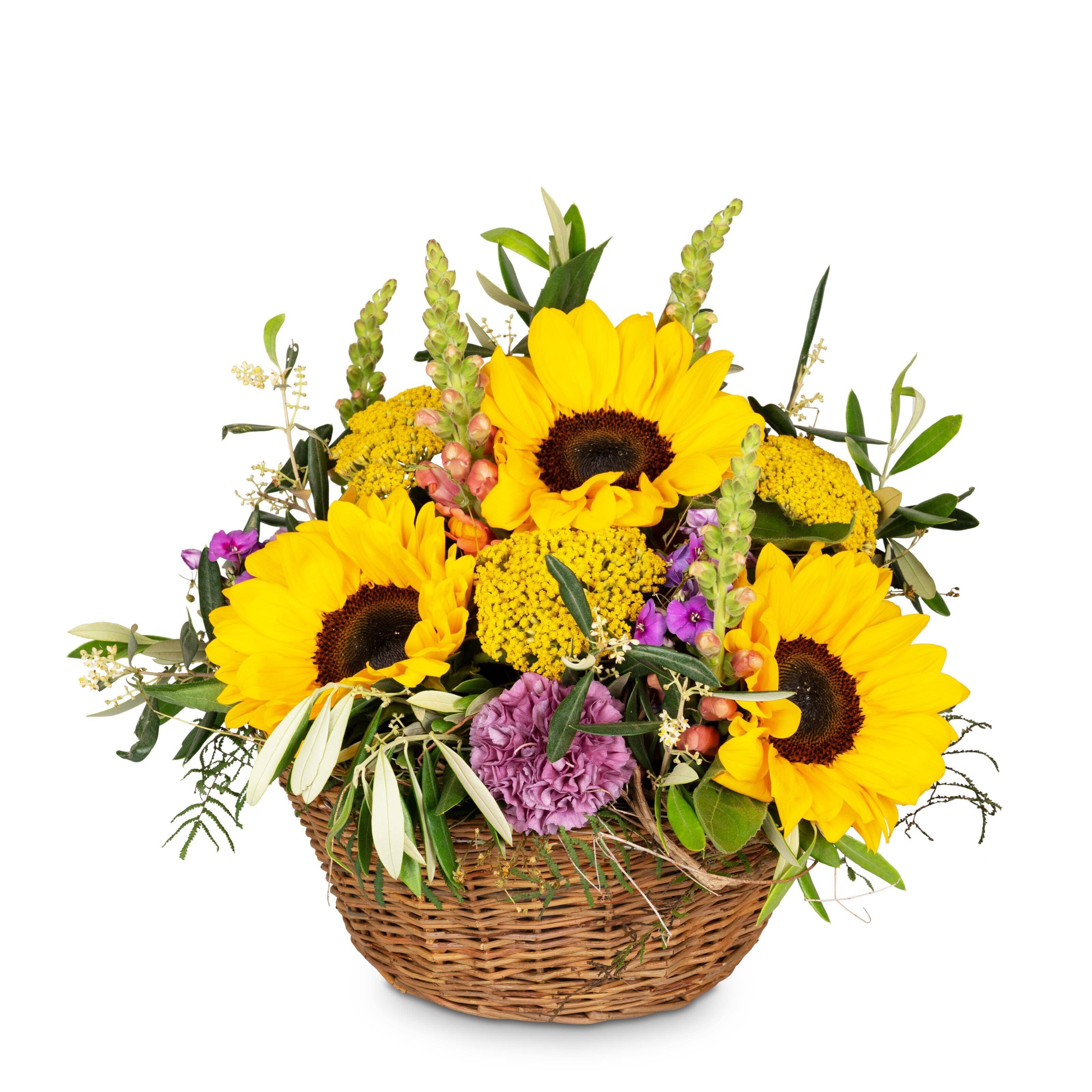 Blume, Blumen-Arrangement, Pflanze, Blumenstrauß, Sonnenblume, Blume, Blumen-Arrangement, Pflanze, Blumenstrauß, Sonnenblume, Blume, Blumen-Arrangement, Pflanze, Blumenstrauß, Sonnenblume, Blume, Blumen-Arrangement, Pflanze, Blumenstrauß, Sonnenblume