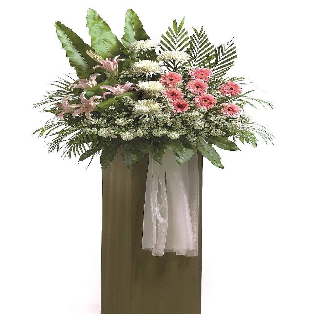 Blume, Blumen-Arrangement, Pflanze, Blumenstrauß, Florales Design, Blume, Blumen-Arrangement, Pflanze, Blumenstrauß, Florales Design, Blume, Blumen-Arrangement, Pflanze, Blumenstrauß, Florales Design