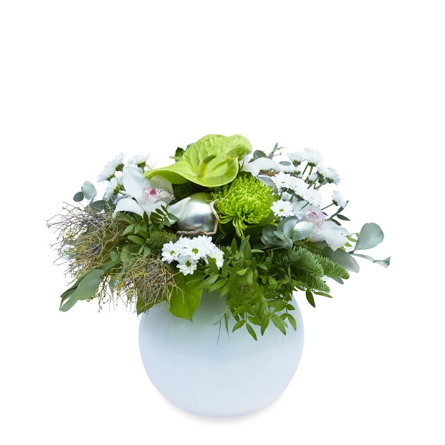 Blume, Blumen-Arrangement, Pflanze, Blumenstrauß, Topfpflanze, Blume, Blumen-Arrangement, Pflanze, Blumenstrauß, Topfpflanze, Blume, Blumen-Arrangement, Pflanze, Blumenstrauß, Topfpflanze