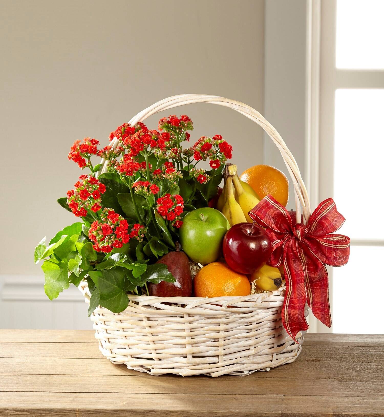 Blume, Blumen-Arrangement, Pflanze, Blume, Blumen-Arrangement, Pflanze, Blume, Blumen-Arrangement, Pflanze, Blume, Blumen-Arrangement, Pflanze, Blume, Blumen-Arrangement, Pflanze, Blume, Blumen-Arrangement, Pflanze, Blume, Blumen-Arrangement, Pflanze