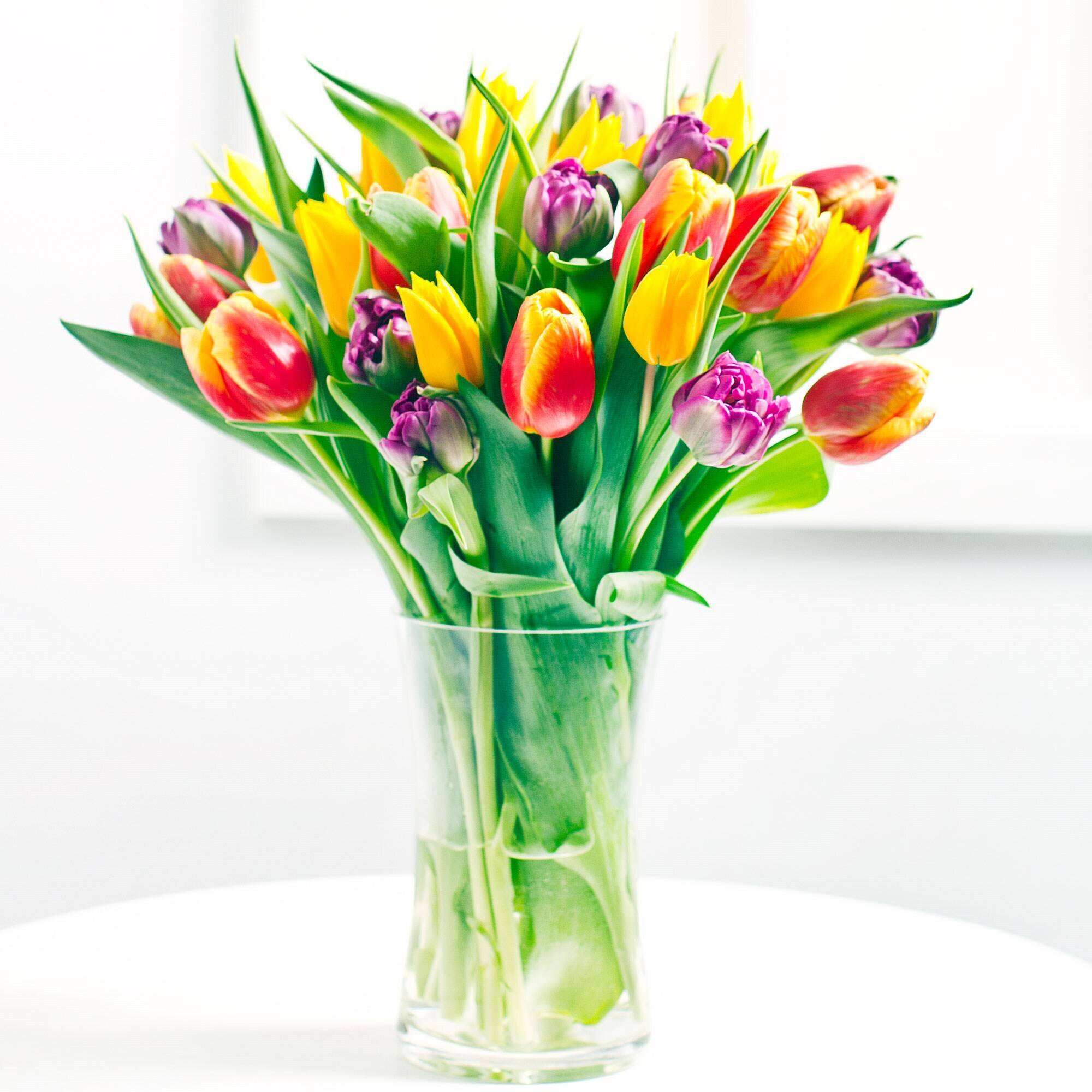 Blume, Blumen-Arrangement, Pflanze, Blumenstrauß, Glas, Blume, Blumen-Arrangement, Pflanze, Blumenstrauß, Glas, Blume, Blumen-Arrangement, Pflanze, Blumenstrauß, Glas, Blume, Blumen-Arrangement, Pflanze, Blumenstrauß, Glas